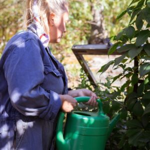 Pikkusisko-laboratoriopaketti