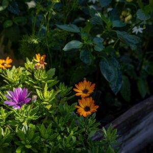 Isosisko-laboratoriopaketti